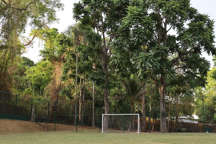 Imagem 4